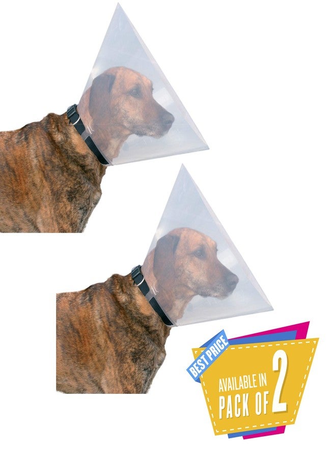 تريكسي طوق تريكسي الواقي الشفاف للكلاب، عبوة صغيرة من قطعتين، للكلاب، بلاستيك، (عبوة من قطعة واحدة) - Image 1